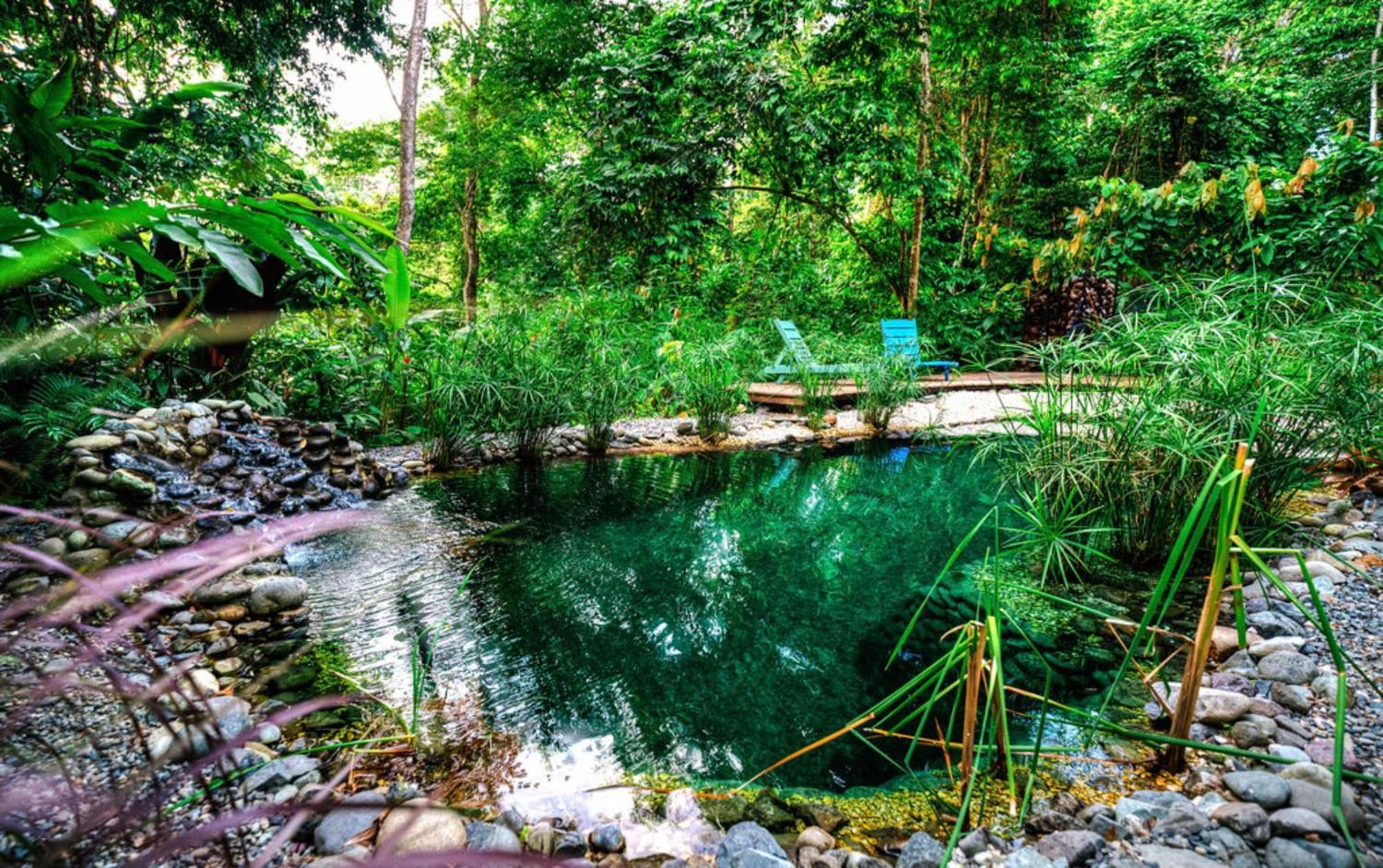カウイータ La Shamana - Ecological Concept In Jungleヴィラ エクステリア 写真