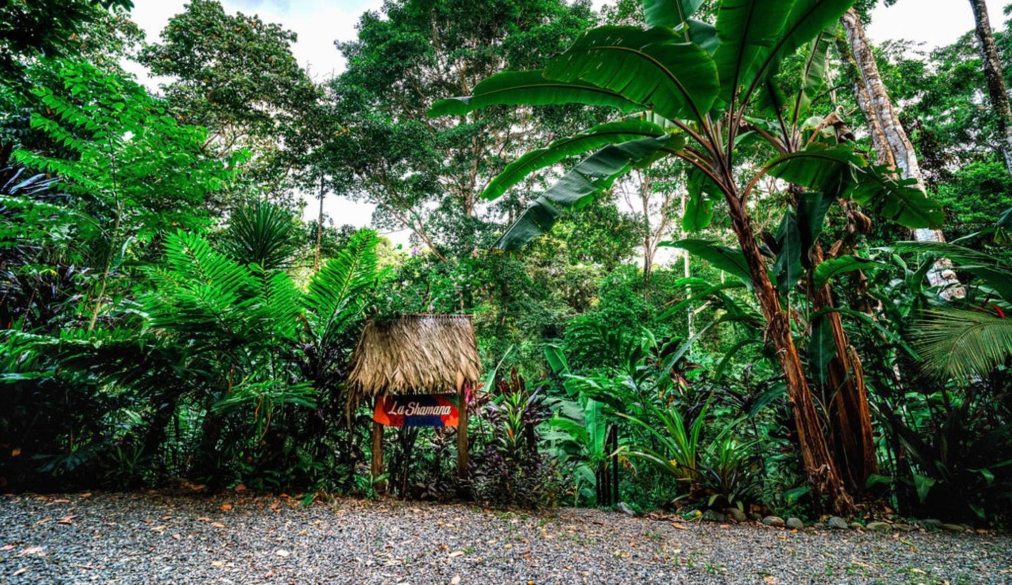 カウイータ La Shamana - Ecological Concept In Jungleヴィラ エクステリア 写真