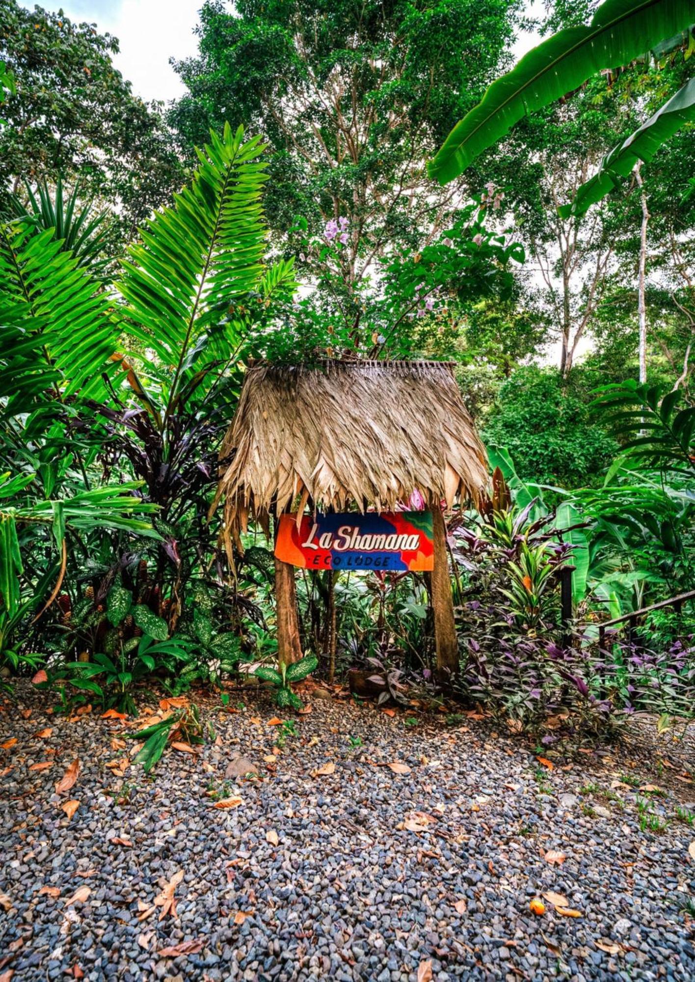 カウイータ La Shamana - Ecological Concept In Jungleヴィラ エクステリア 写真