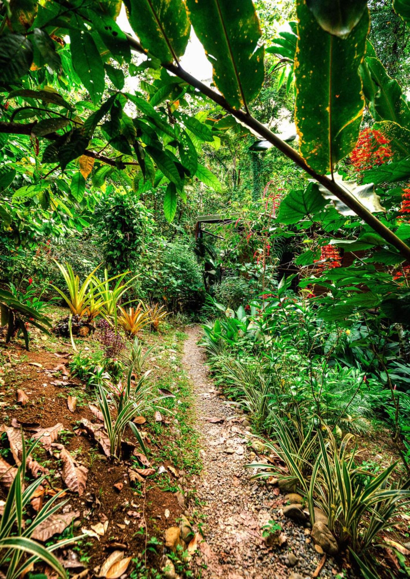 カウイータ La Shamana - Ecological Concept In Jungleヴィラ エクステリア 写真