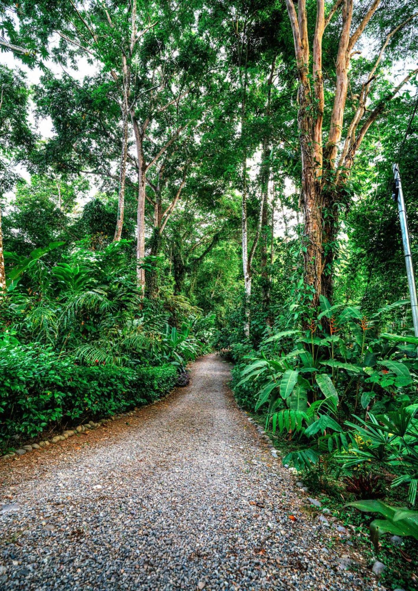 カウイータ La Shamana - Ecological Concept In Jungleヴィラ エクステリア 写真